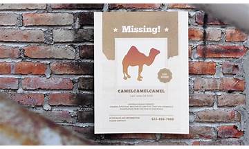 Here’s Why Amazon Sellers Stopped Using CamelCamelCamel